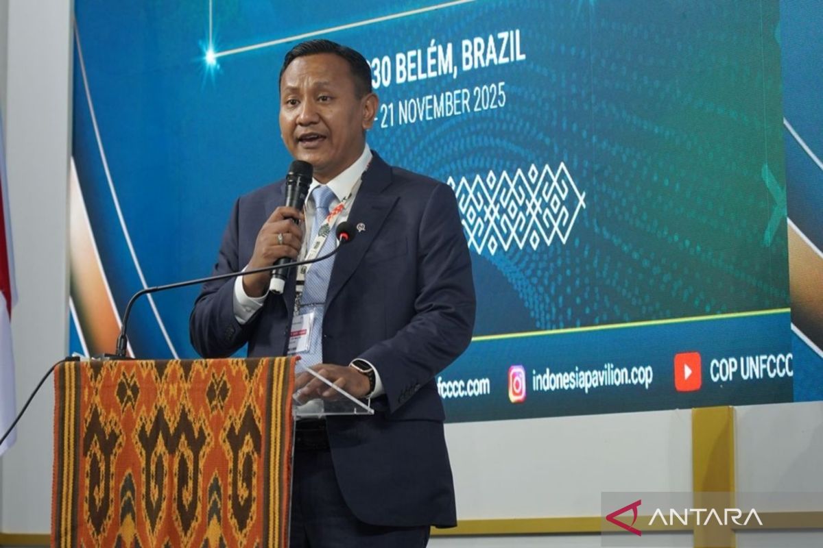 印尼与日本加强可持续红树林项目合作