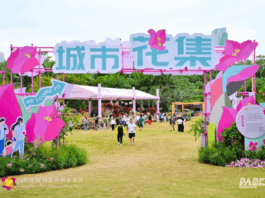 【大美广东·中印尼双语】(Bilingual Cina dan Indonesia)2025深圳簕杜鹃赏花周即将绽放