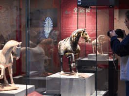 【大美广东·中印尼双语】(Bilingual Cina dan Indonesia)千年陶马与鹏城赛马跨时空对话:“骥跃升腾——三彩马的世界”展览亮相深博