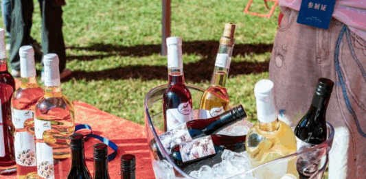 【大美广东·中印尼双语】(Bilingual Cina dan Indonesia)华农举办全国大学生葡萄与葡萄酒科学文化节