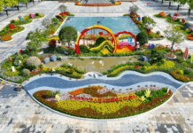 【大美广东·中印尼双语】(Bilingual Cina dan Indonesia)十五运会打卡东莞赛区:活力南城,不止于赛场