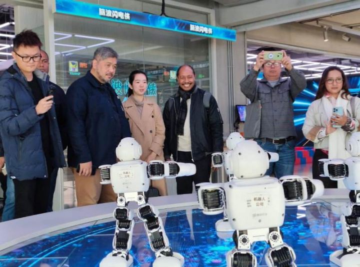 民族民主党代表团探访北京经开区