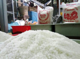 农业部长:2026年大米产量目标3477万吨