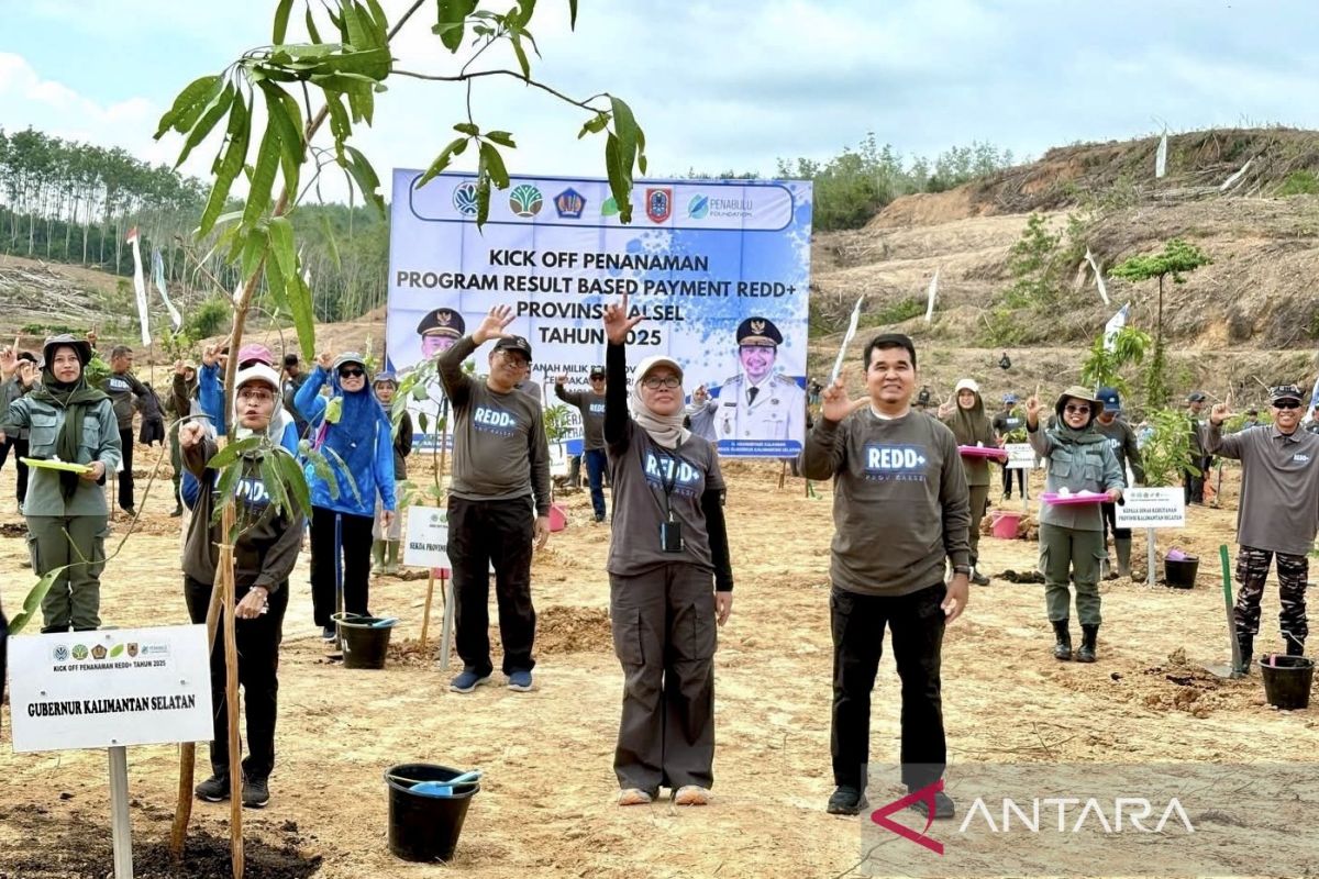 南加里曼丹在REDD+资金推动下恢复了250公顷土地