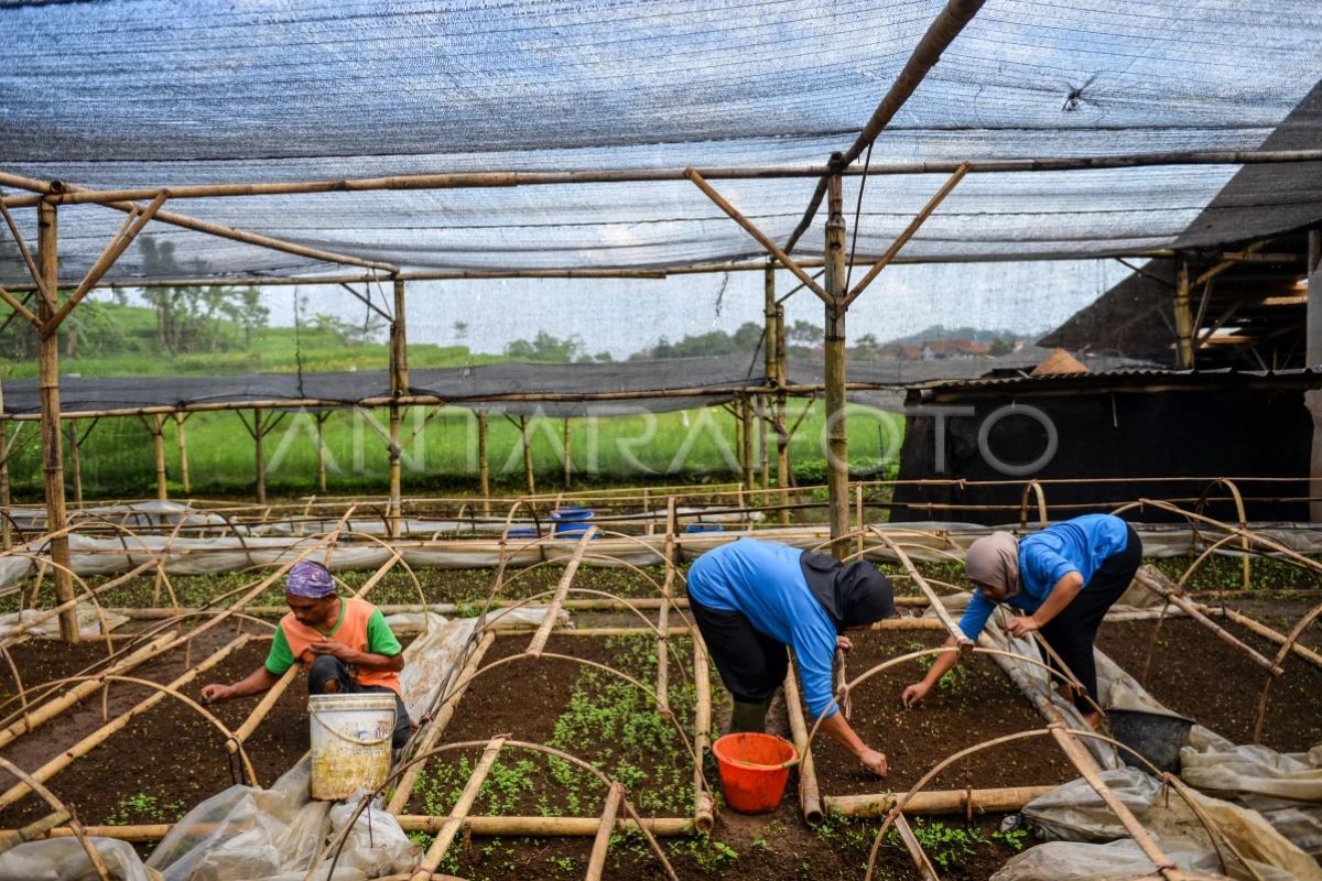 提高RI行业竞争力的生产力关键：政府