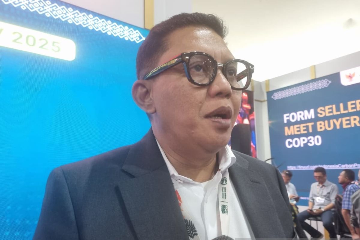 COP30：印尼审查制裁以遏制碳交易欺诈