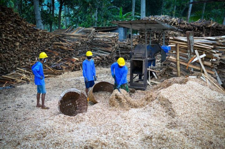 鼓励供应标准化，PLN EPI 推出混烧生物质市场