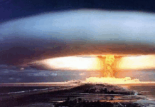 美参议员:特朗普重启核武器试验的决定或致美与俄中关系不稳定