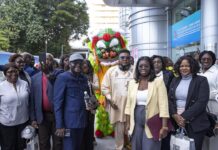 刚果(布)媒体考察团到访广东,点赞东莞“莞小鹅表演”