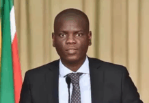 南非外长驳斥与美国分歧传言:非洲关键矿产合作取得新进展