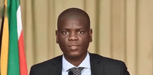 南非外长驳斥与美国分歧传言:非洲关键矿产合作取得新进展