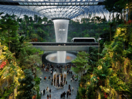 新西兰男子裸上身大闹新加坡樟宜机场 判监3个月