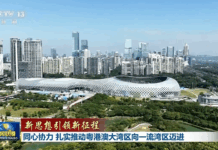 新思想引领新征程丨同心协力 扎实推动粤港澳大湾区向一流湾区迈进