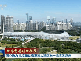 新思想引领新征程丨同心协力 扎实推动粤港澳大湾区向一流湾区迈进