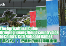 The Agricultural Cube: Bringing Guangzhou’s agricultural products to China’s 15th National Games