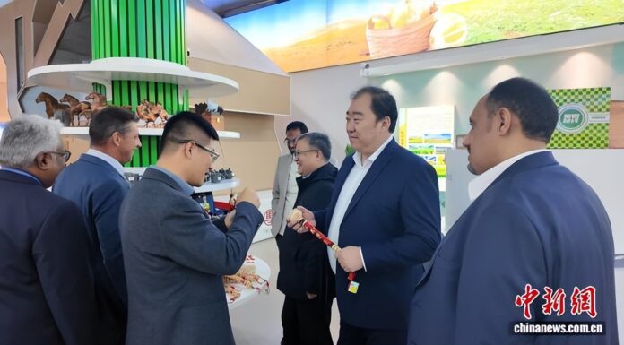 既是返乡探亲又是商业考察,坦桑尼亚侨胞促“蒙字号”出海