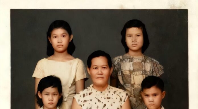 南侨机工“花木兰”后人海外寻亲