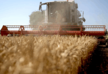 特朗普呼吁北京增加购买美国农产品