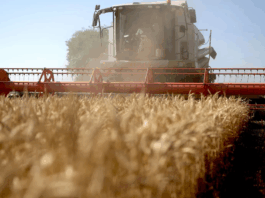 特朗普呼吁北京增加购买美国农产品