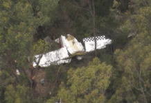 澳洲两架轻型飞机空中相撞 一架坠毁致飞行员遇难