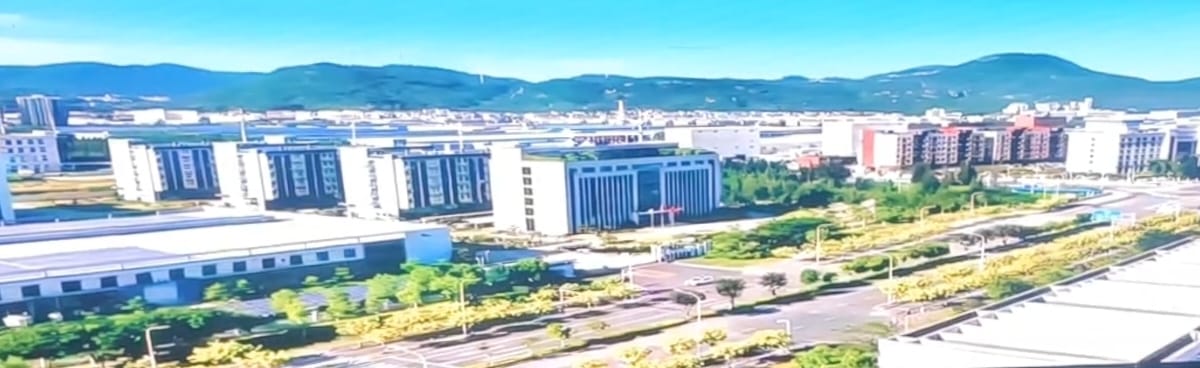 2025中国东盟周：东盟嘉宾参访福州重点企业及中印尼两国双园 