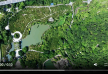 【大美广东·中印尼双语】(Bilingual Cina dan Indonesia)在广州香雪公园赴一场闻名岭南的“香雪”之约