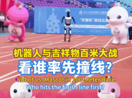 【大美广东·中印尼双语】(Bilingual Cina dan Indonesia)机器人与吉祥物百米大战,看谁率先撞线?