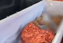 泰国65岁老妇火化前几分钟突然“复活”:不停敲击棺材盖,亲属当场愣住