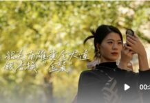 广东秋色“天花板”,韶关南雄银杏迎来最佳观赏期