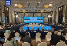 APEC“中国年”的定音鼓在深圳敲响:2026,共赴鲲鹏之约