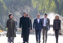 时政微观察丨让中法关系在“新甲子”走得更稳更好