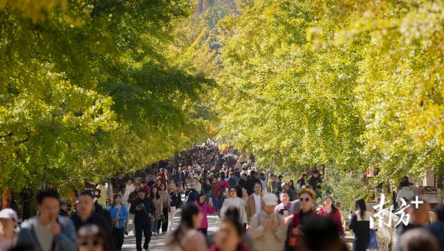 南方+ 董天健 拍摄