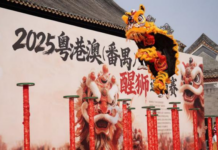 【大美广东·中印尼双语】(Bilingual Cina dan Indonesia)沙湾古镇迎盛事:高桩醒狮腾跃,粤港澳同台“斗狮”