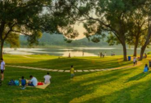 【大美广东·中印尼双语】(Bilingual Cina dan Indonesia)韶关武江:绘就绿美画卷,书写“百千万工程”幸福篇章