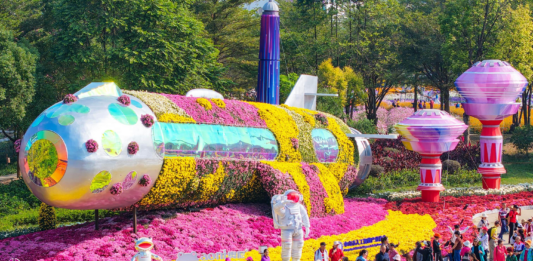 【大美广东·中印尼双语】(Bilingual Cina dan Indonesia)中山小榄:冬日盛会绽放“菊城”文化魅力