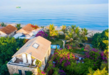 【大美广东·中印尼双语】(Bilingual Cina dan Indonesia)解码广东“百千万工程”的乡村重塑密码