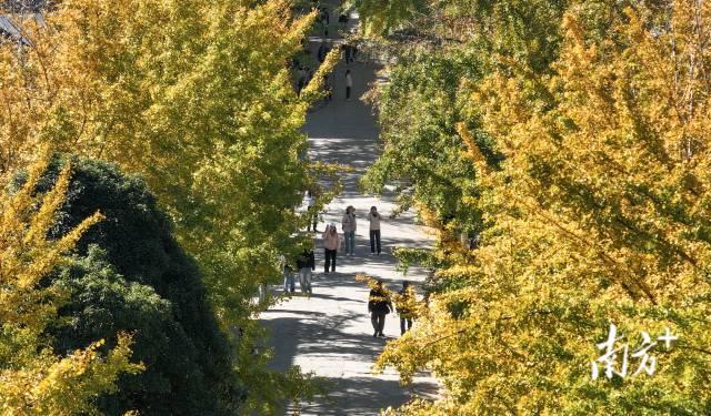 南方+ 董天健 拍摄