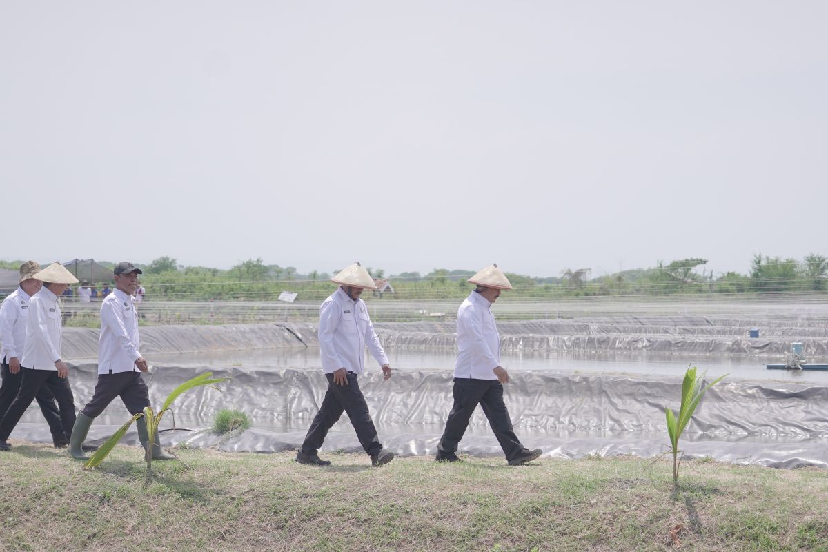 印度尼西亚将利用闲置土地赋权囚犯