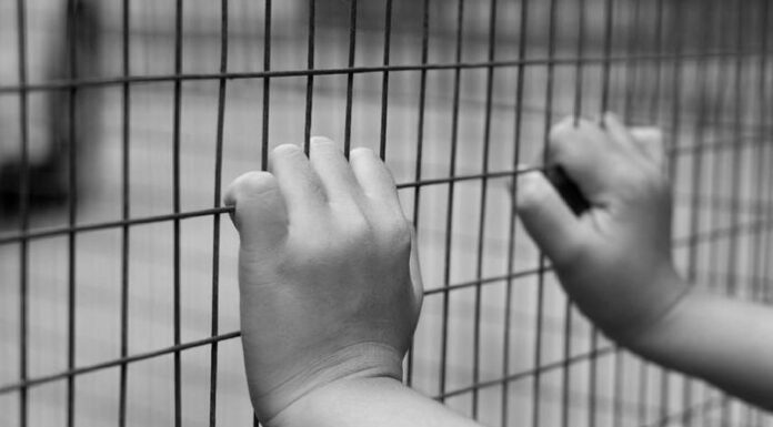 茂物继父两日虐待幼童致其骨折、头部流血