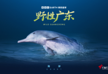 原来广东这么“野”