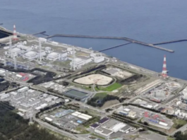 全球最大核电站将重启