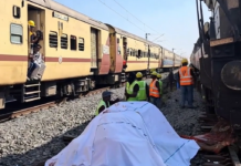 近百头象穿越铁轨被列车冲撞 7象死亡