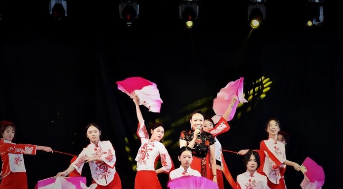 巴西利美拉举办“中国文化日”