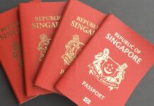 全球最强护照年终排名 新加坡稳坐榜首