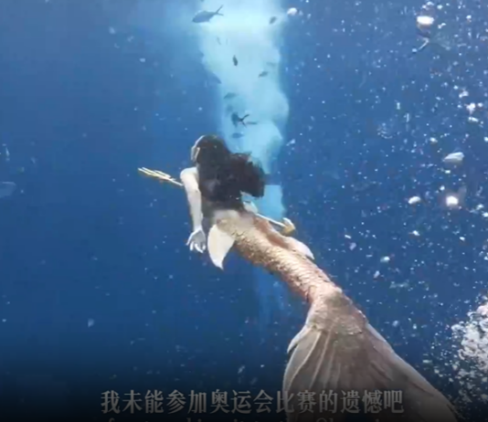 【大美广东·中印尼双语】(Bilingual Cina dan Indonesia)深蓝涅槃:“美人鱼”成长记