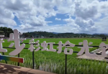 【大美广东·中印尼双语】(Bilingual Cina dan Indonesia)大美岭南 | 中山南朗左步村:稻浪和弦 古村新韵