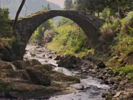 【大美广东·中印尼双语】(Bilingual Cina dan Indonesia)溪桥烟树,寻访韶关秘境|岭南行记