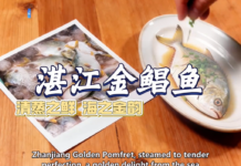 【大美广东·中印尼双语】(Bilingual Cina dan Indonesia)广东这6种海鲜,每一口都是一座城市的极致鲜味