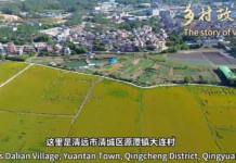 【大美广东·中印尼双语】(Bilingual Cina dan Indonesia)清远源潭大连村:丝苗米“链”就兴业路