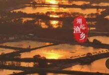 潮起渔乡,粼粼新梦 | 岭南行记